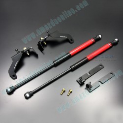 AutoExe Kit de Amortiguadores de Gas para Capa para Mazda2 [DE] 2007-2014