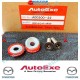 AutoExe LIMITED EDITION Titanium Licence Plate Bolt Kit