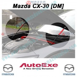 AutoExe Bonnet Hood Liftgate Gas Strut Kit fits 2020-2024 Mazda CX-30 [DM]