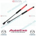 AutoExe Kit de Amortiguadores de Gas para Capa para Mazda CX-3 [DK] 2015-2023