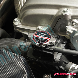 AutoExe Tapa de Radiador Deportivo compatible con Mazda CX-30 20-25 (DM,DT) NDA1-V5-390