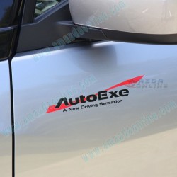 AutoExe Wave Logo Sticker A100000X